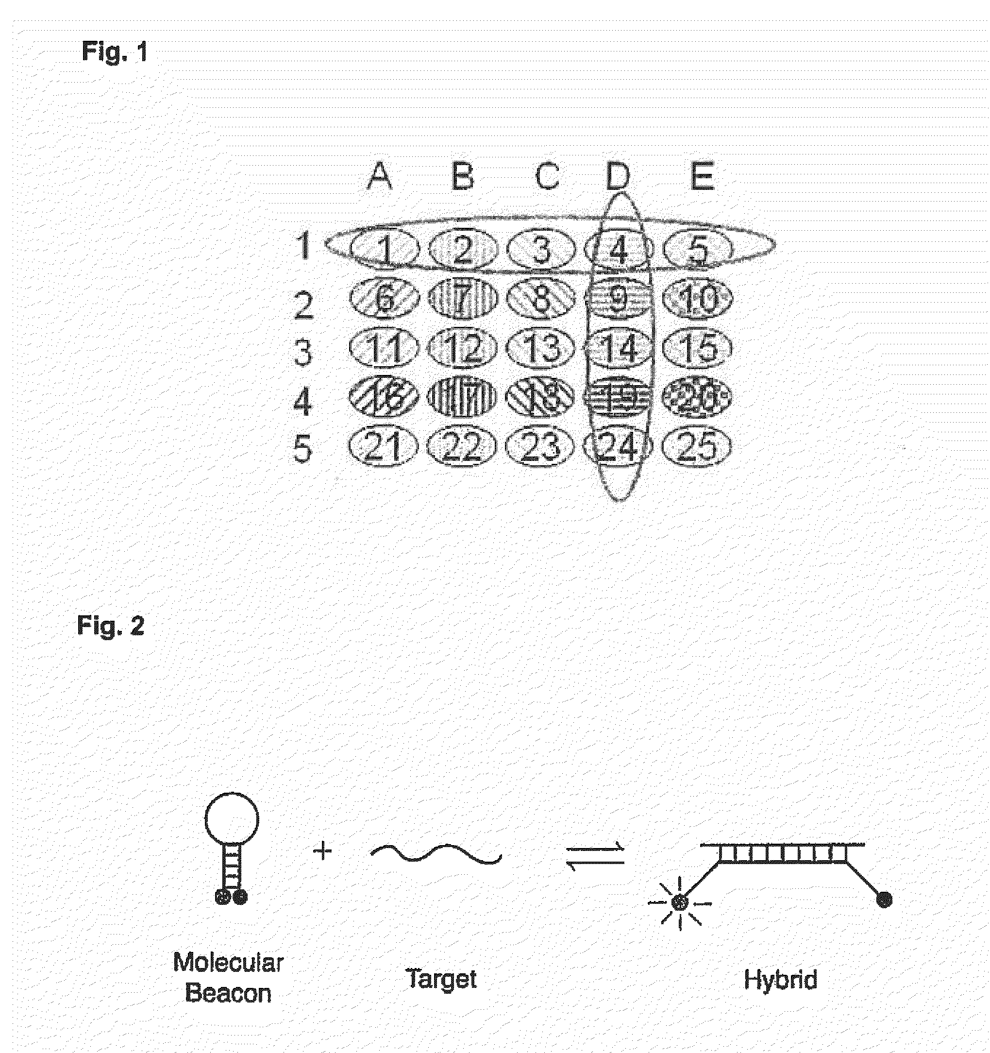 Simultaneous detection of multiple nucleic acid sequences in a reaction