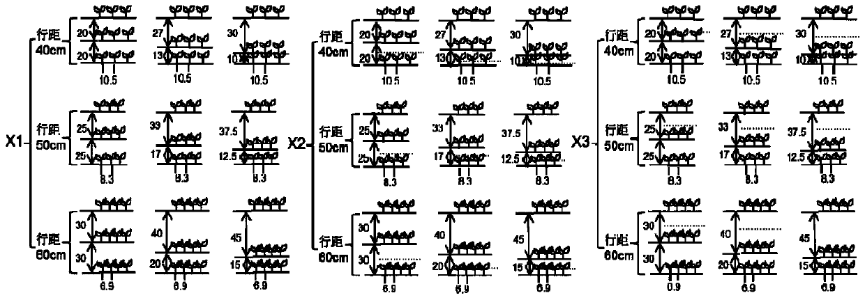 Cultivation method utilizing fertilizer narrow-row furrow application to improve rape planting benefit