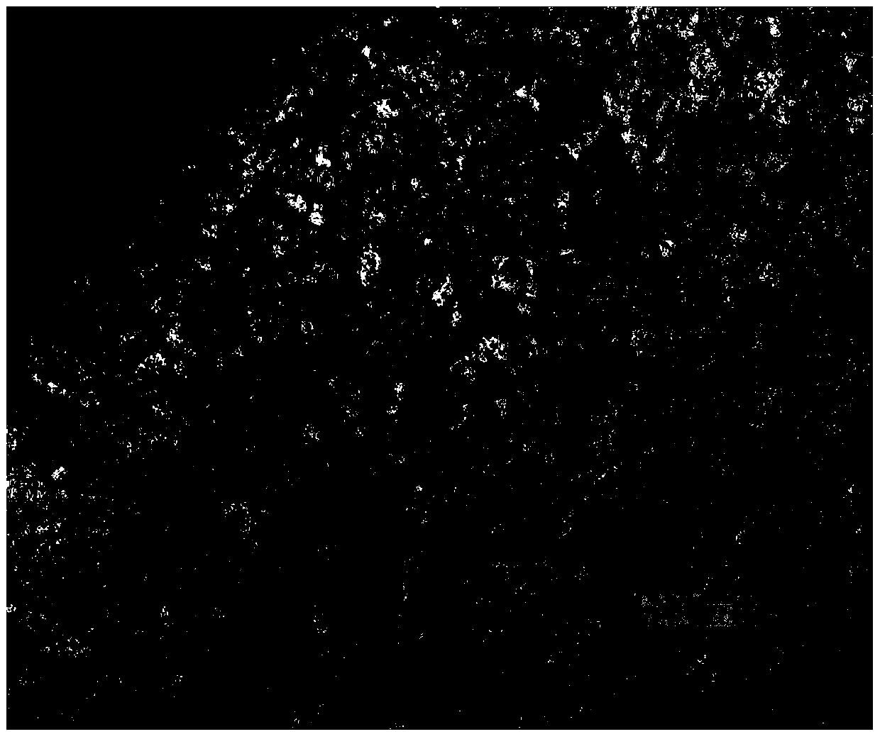 A wire rod rolling method for eliminating fine grains on the surface of low carbon steel