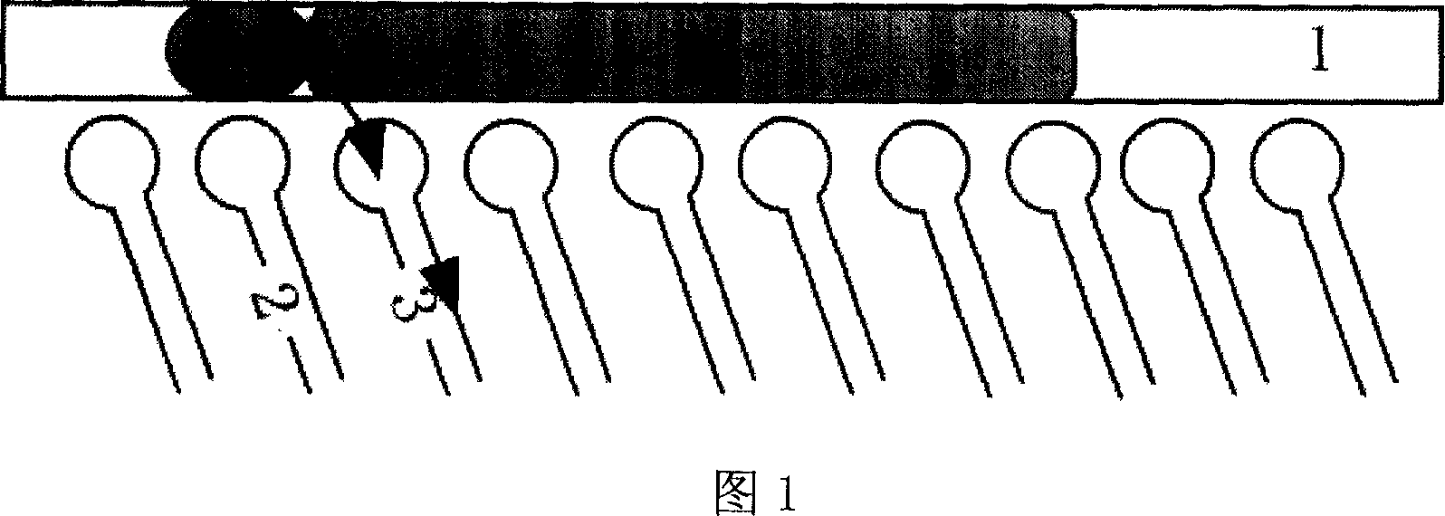 Method of driving microchannel fluid utilizing magnetic droplet