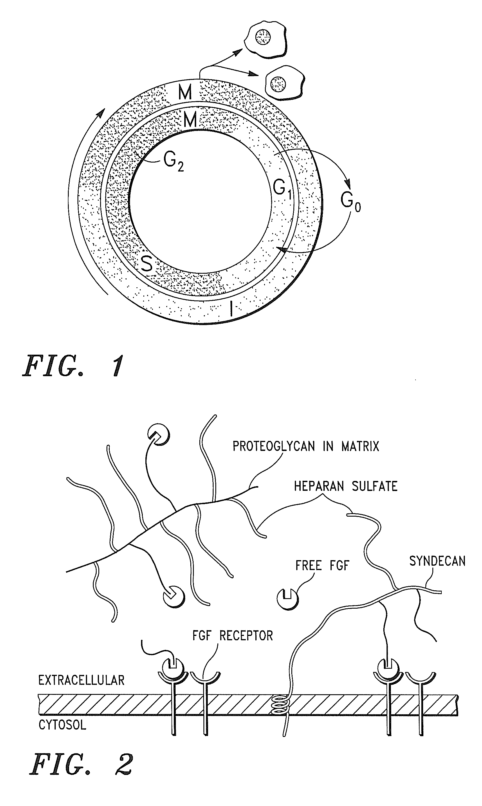 Compositions and methods for treating organ dysfunction