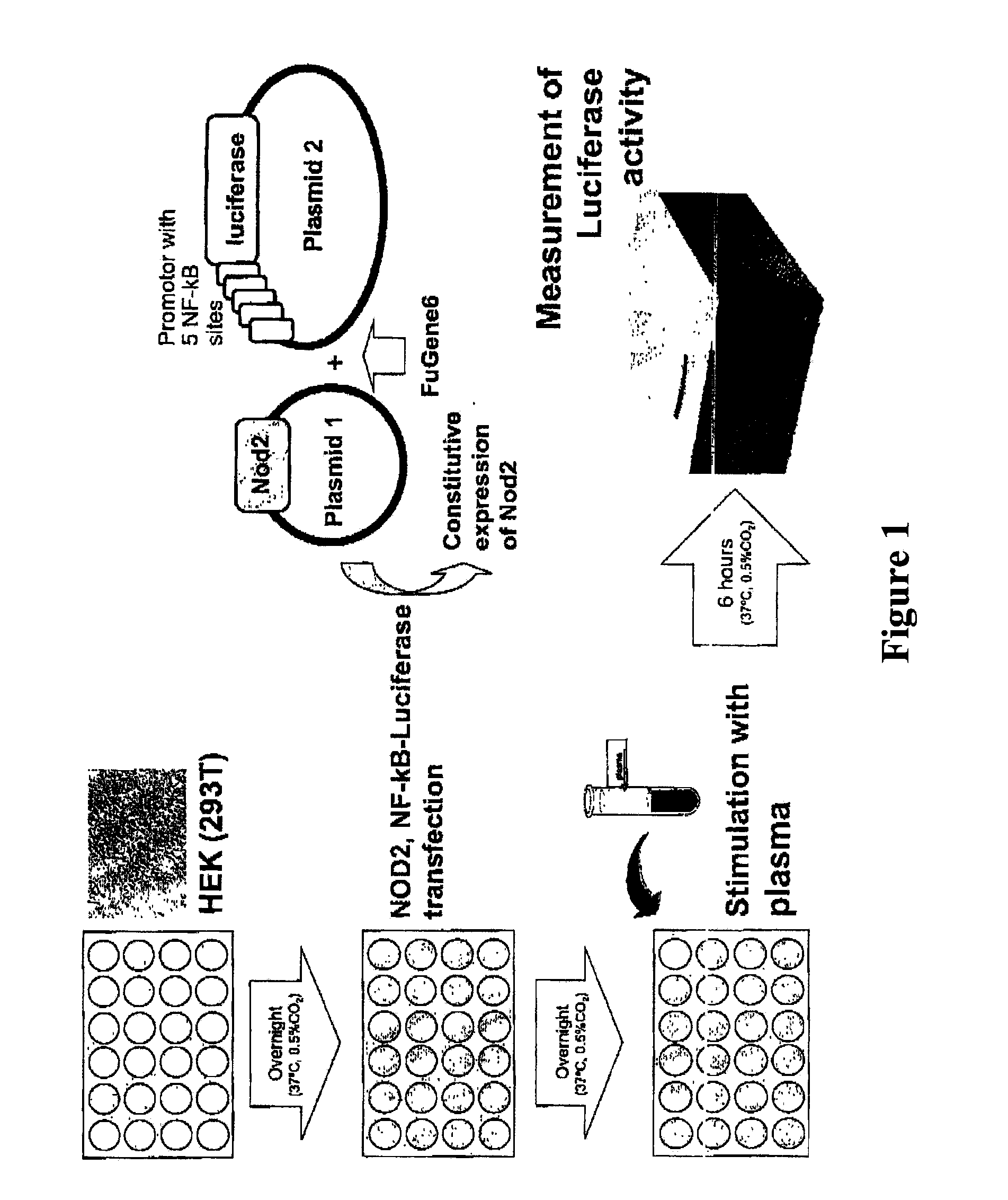 Detection of bacterial peptidoglycan-like compounds