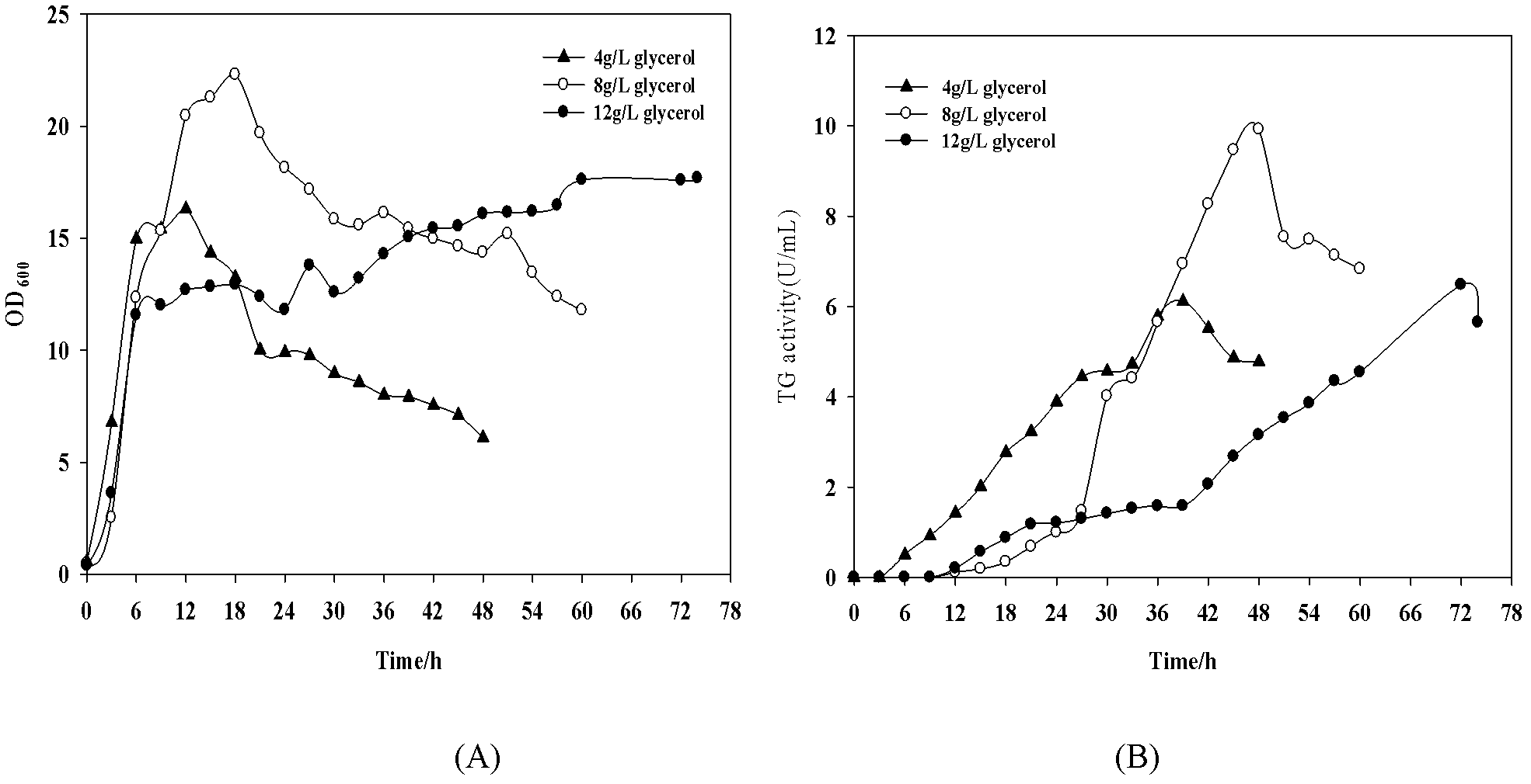 Method for efficiently producing pro-TGase through fermentation