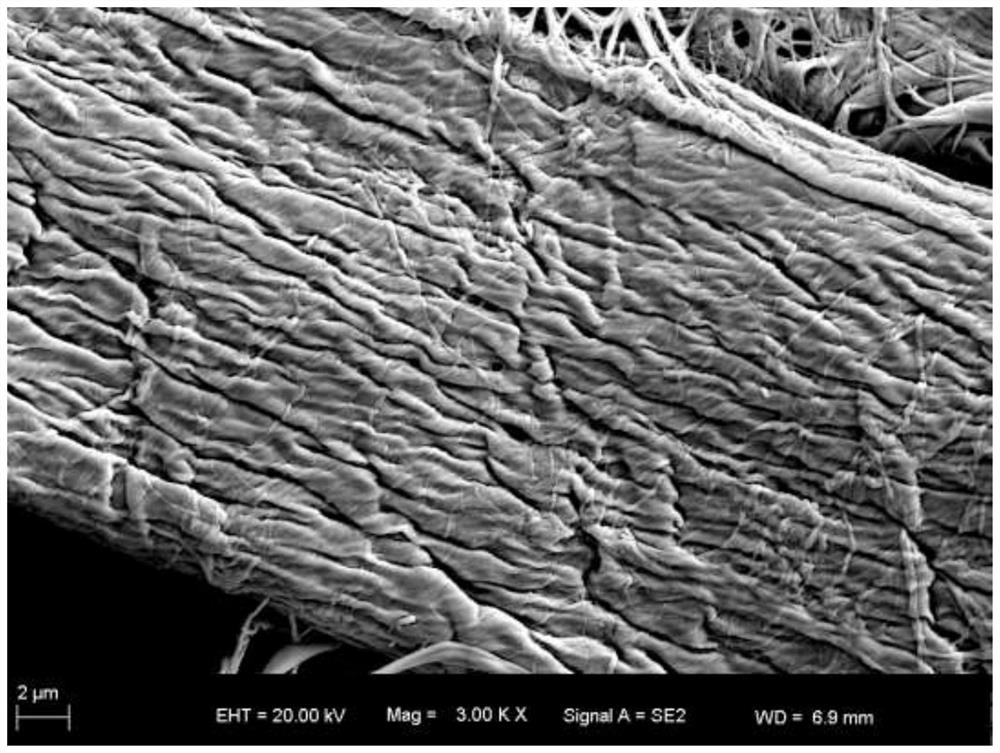 Preparation method of super-hydrophilic/underwater super-oleophobic filter paper