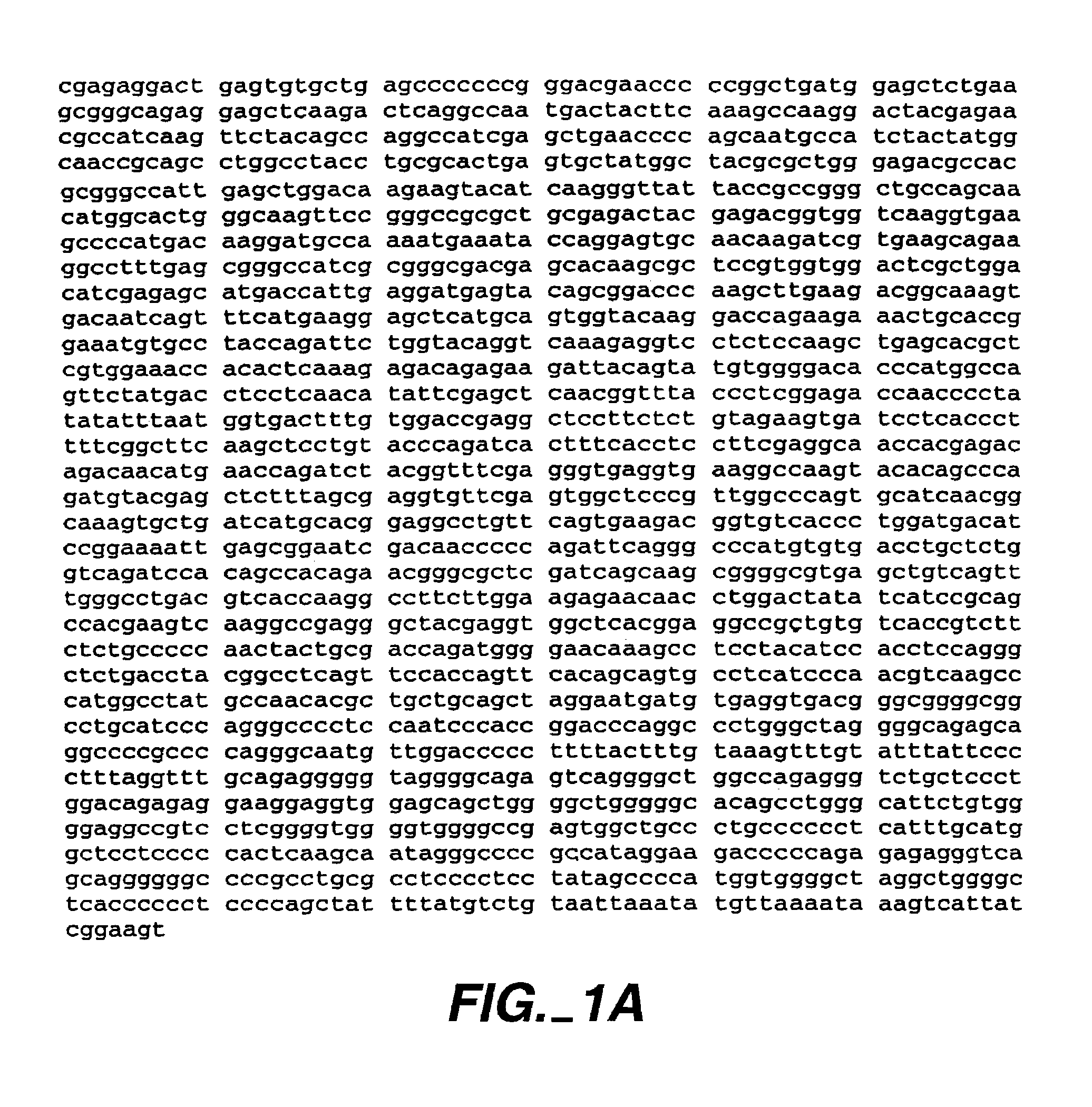 Methods of identifying an agent capable of interfering with Rad9 dephosphorylation