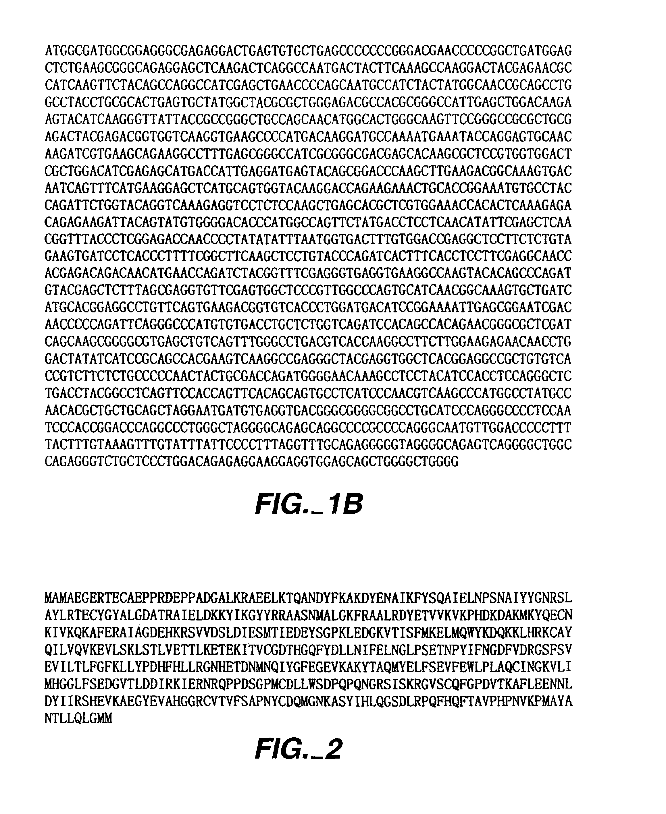 Methods of identifying an agent capable of interfering with Rad9 dephosphorylation