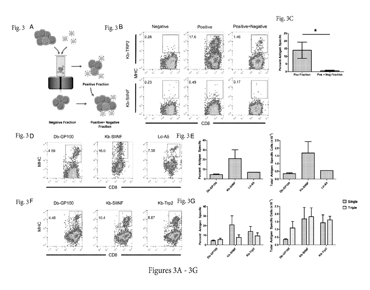 Reagents and methods for identifying, enriching, and/or expanding antigen-specific t cells