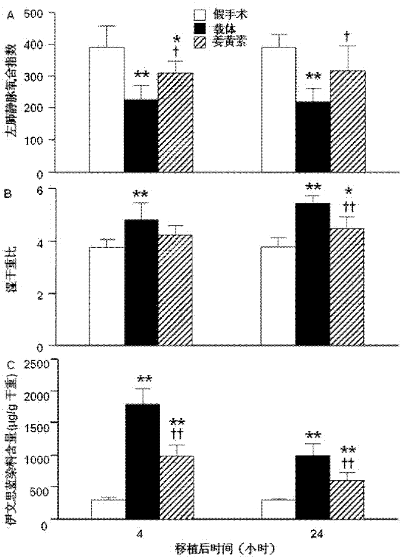 Lung targeting preparation of curcumin class compound as well as preparation method and application thereof