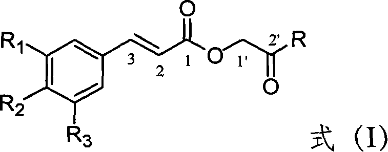 Substituted cinnamic acid derivatives containing amine substituent group and tumor cytotoxicity thereof