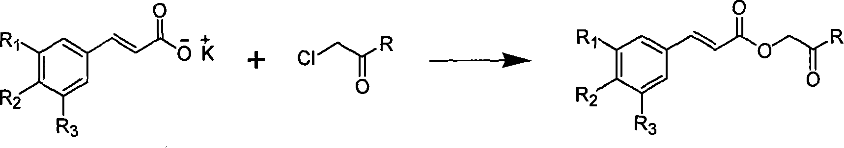 Substituted cinnamic acid derivatives containing amine substituent group and tumor cytotoxicity thereof