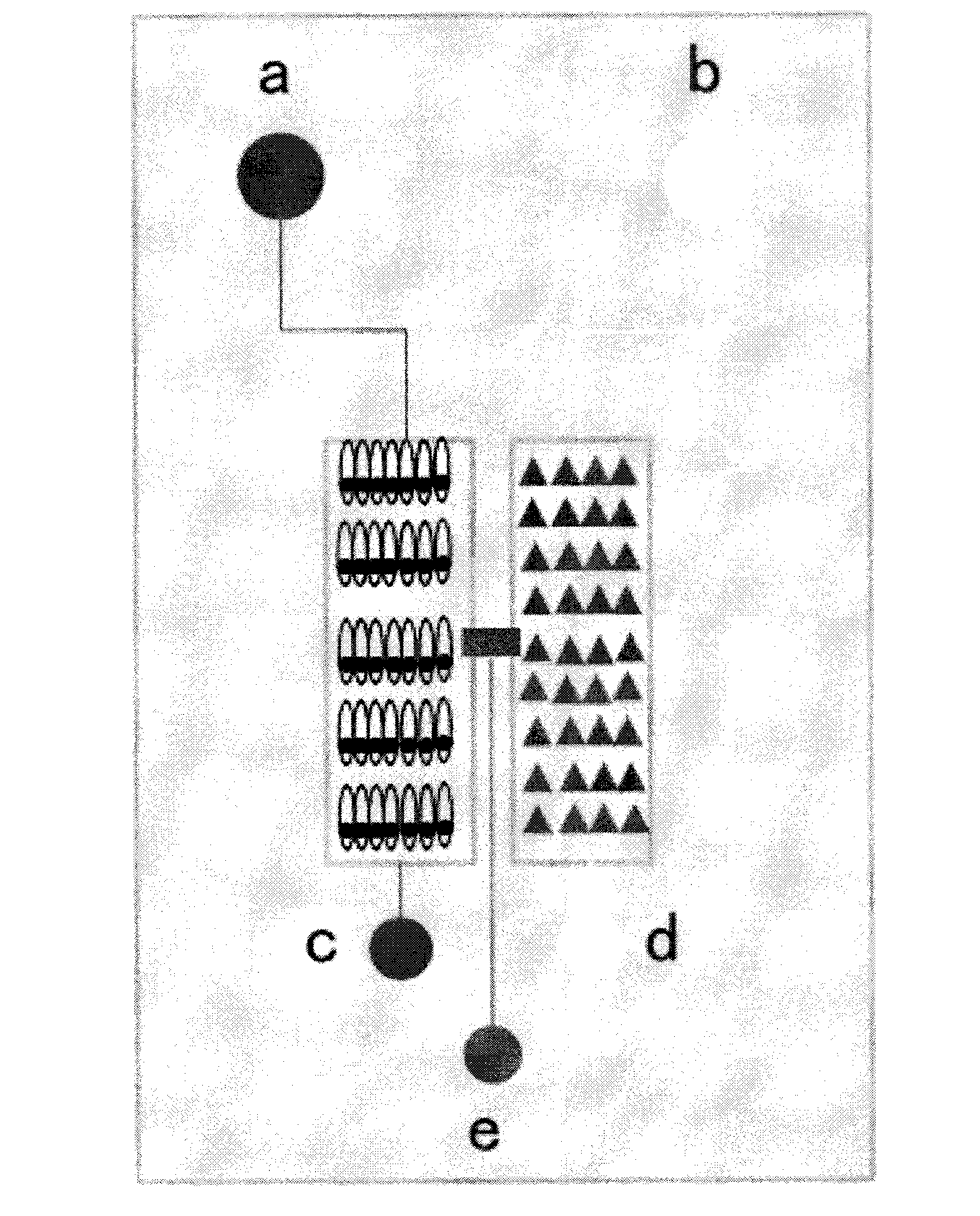 Micro-fluidic cell culturing chip and preparation method thereof