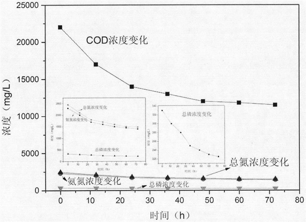 A combination of microbial graphite for a pig farm breeding wastewater