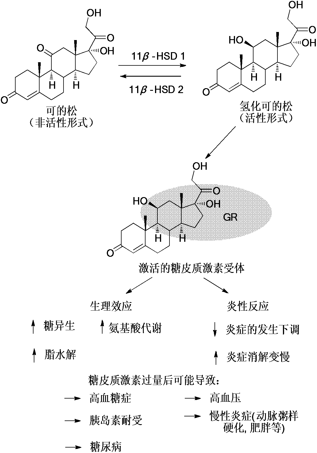 Kaurene diterpene derivative, medicinal composition thereof and application of kaurene diterpene derivative to medicament