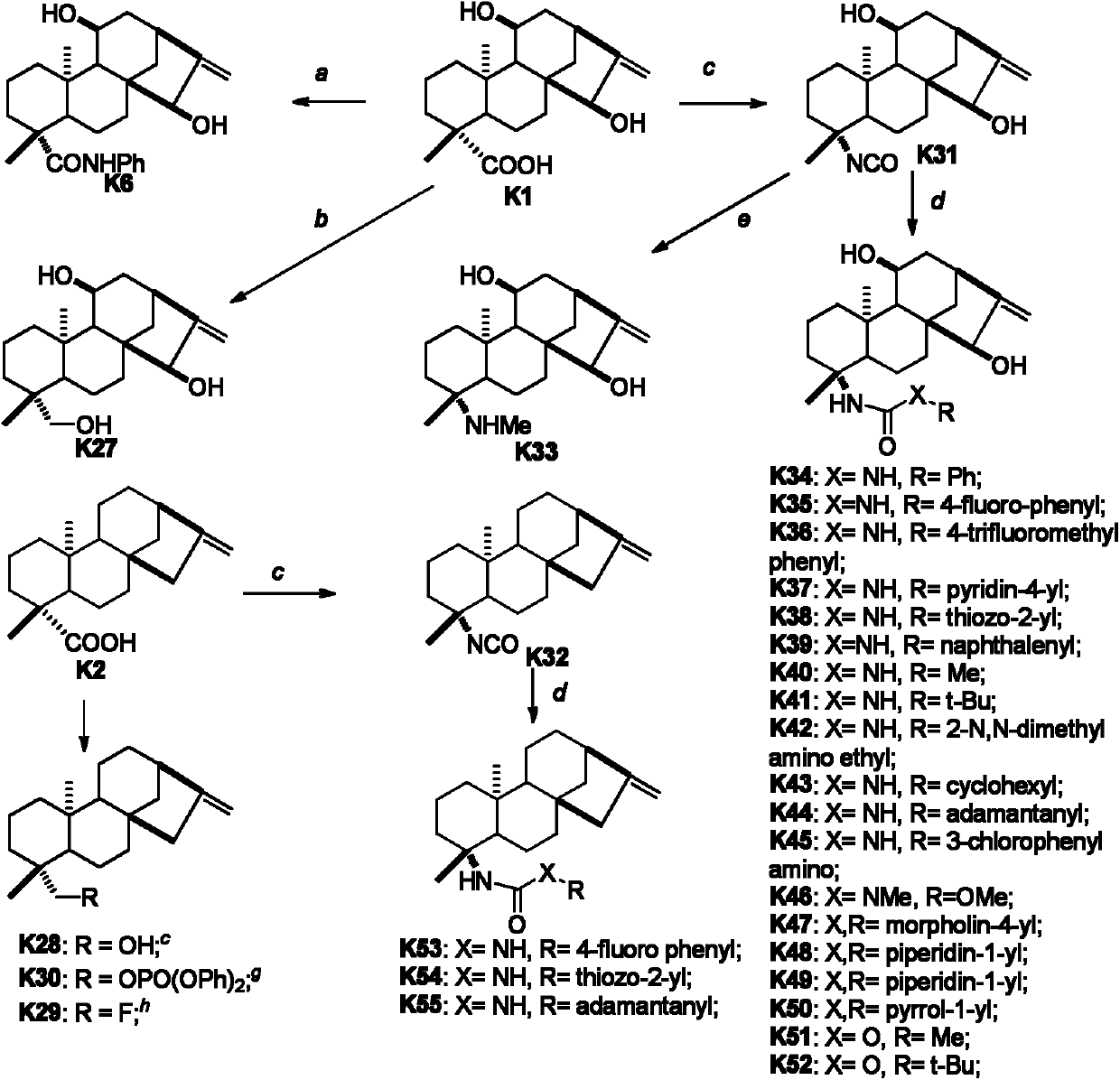 Kaurene diterpene derivative, medicinal composition thereof and application of kaurene diterpene derivative to medicament