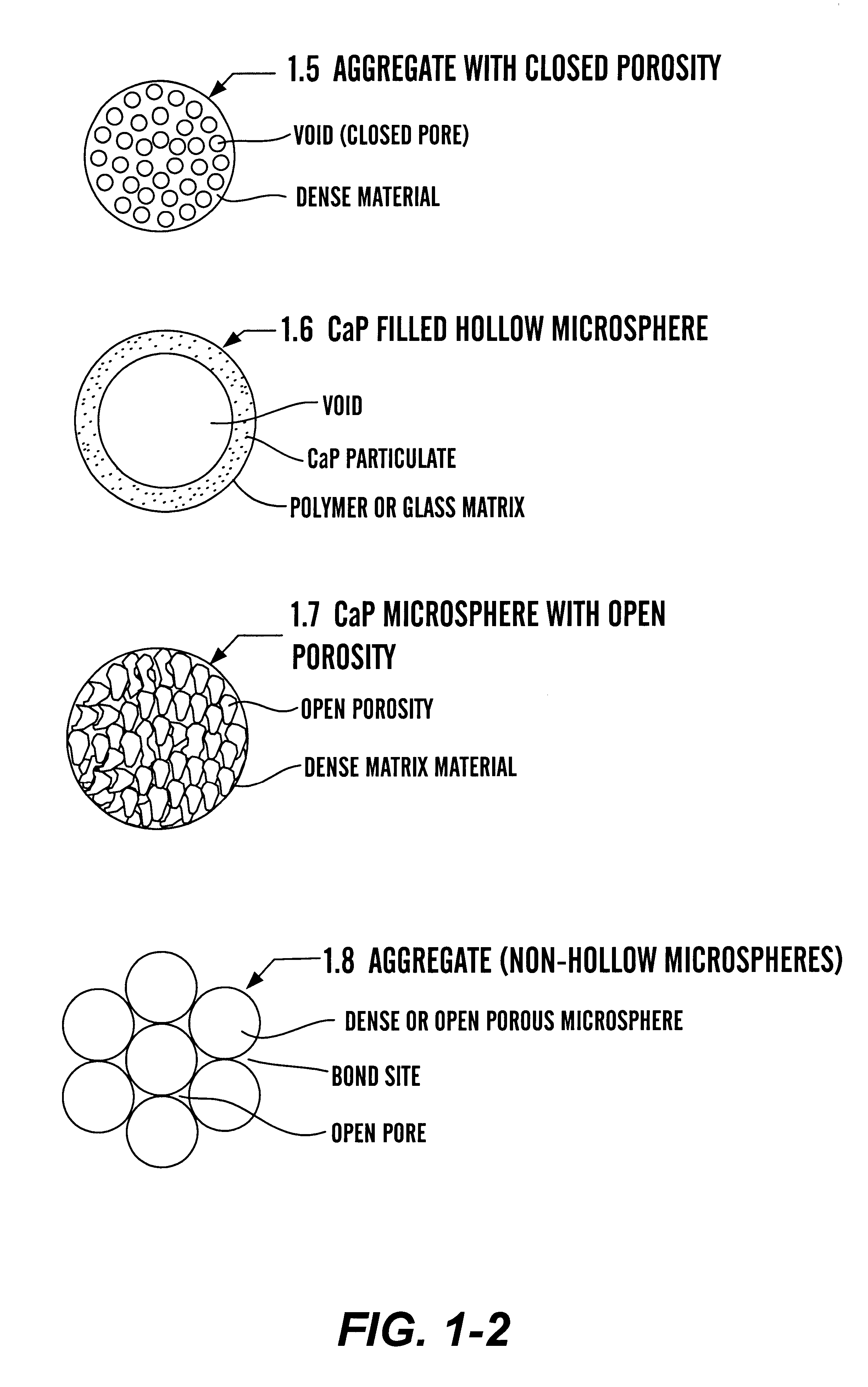 Calcium phosphate microcarriers and microspheres