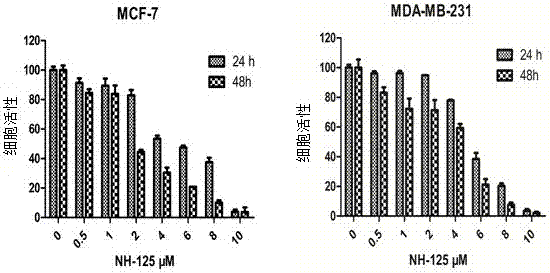 Tumor radiosensitizers containing eEF2K inhibitors