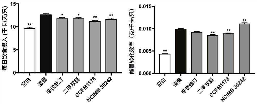 Lactobacillus reuteri CCFM1178 capable of intervening in metabolic syndrome, and application of lactobacillus reuteri CCFM1178