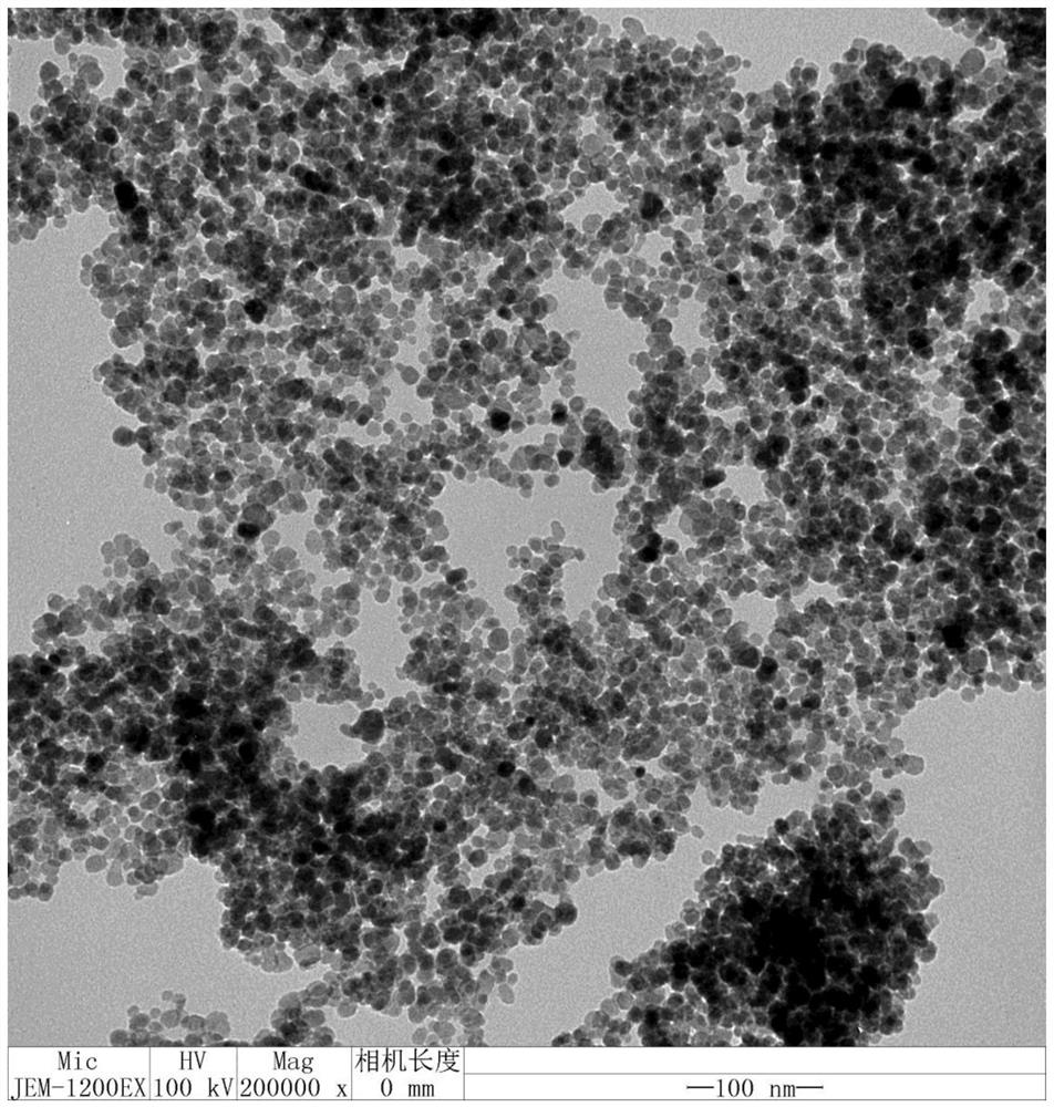 A kind of magnetic nano particle and its application for preparing magnetic solid phase carrier