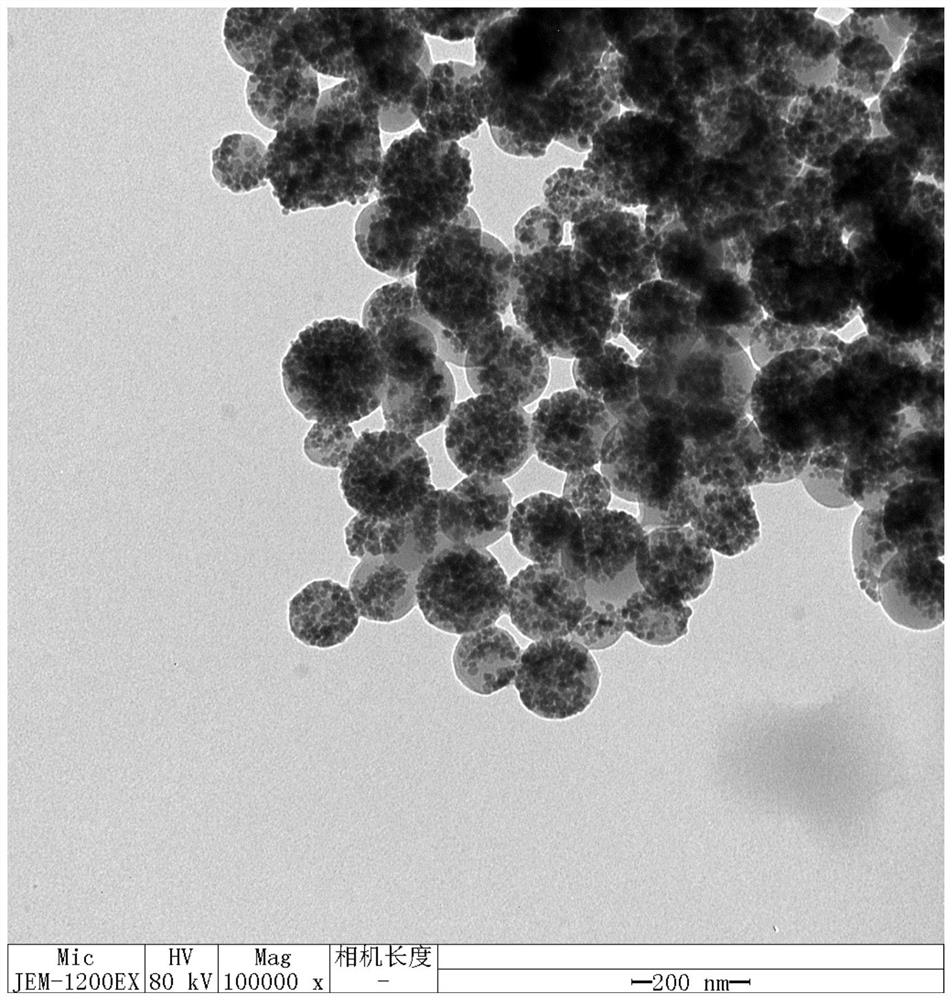 A kind of magnetic nano particle and its application for preparing magnetic solid phase carrier