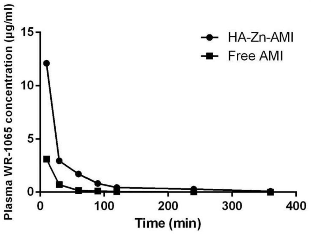 Amifostine-metal ion-hyaluronic acid nanocomposite