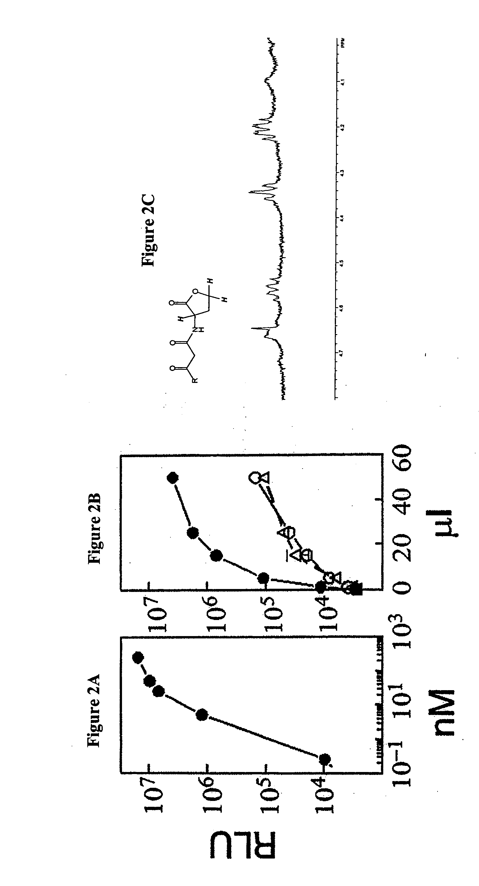 Acyl homoserine lactones for inhibition of cell growth