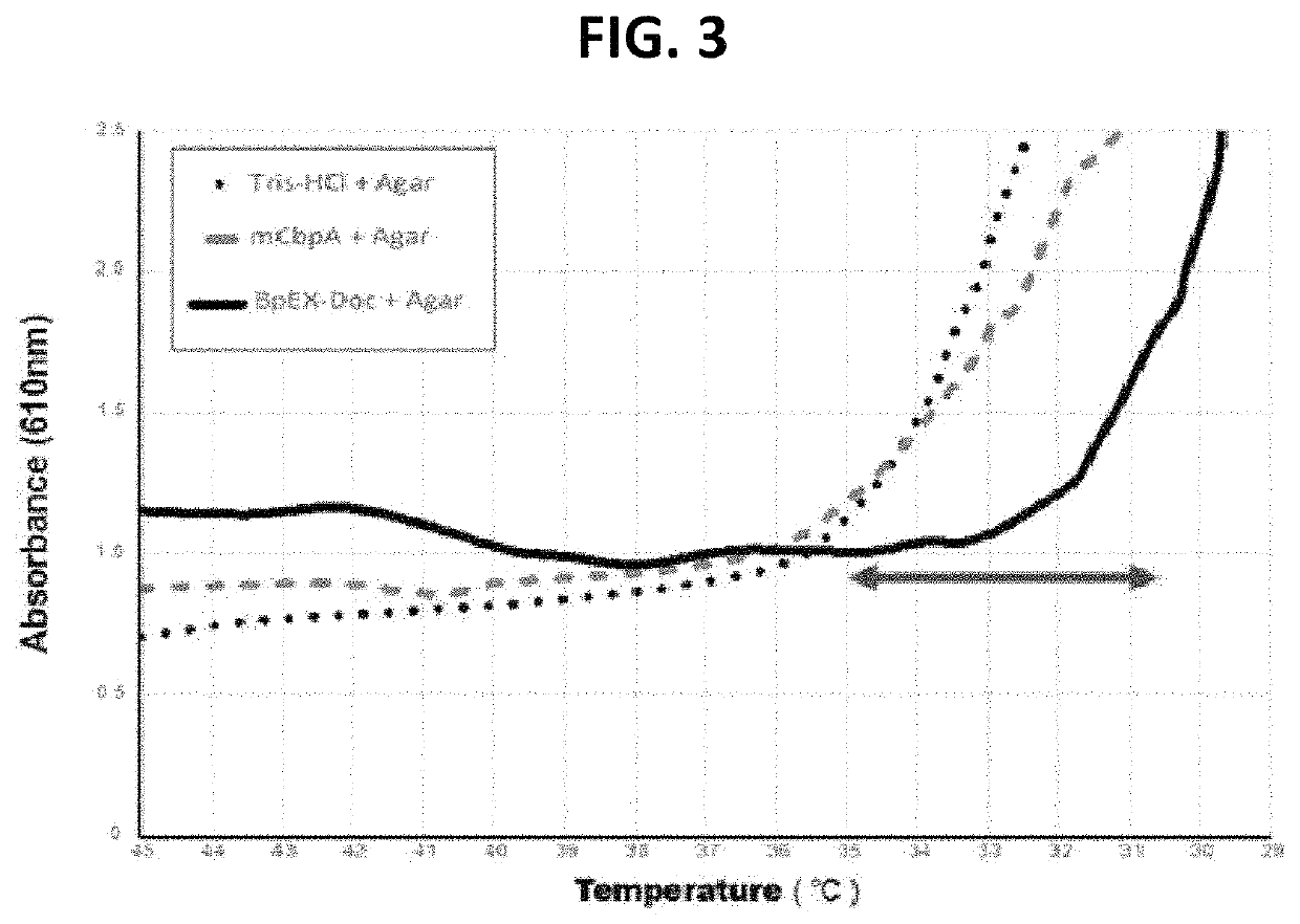 Expansin-agarase enzyme complex and method for degrading agar by using same