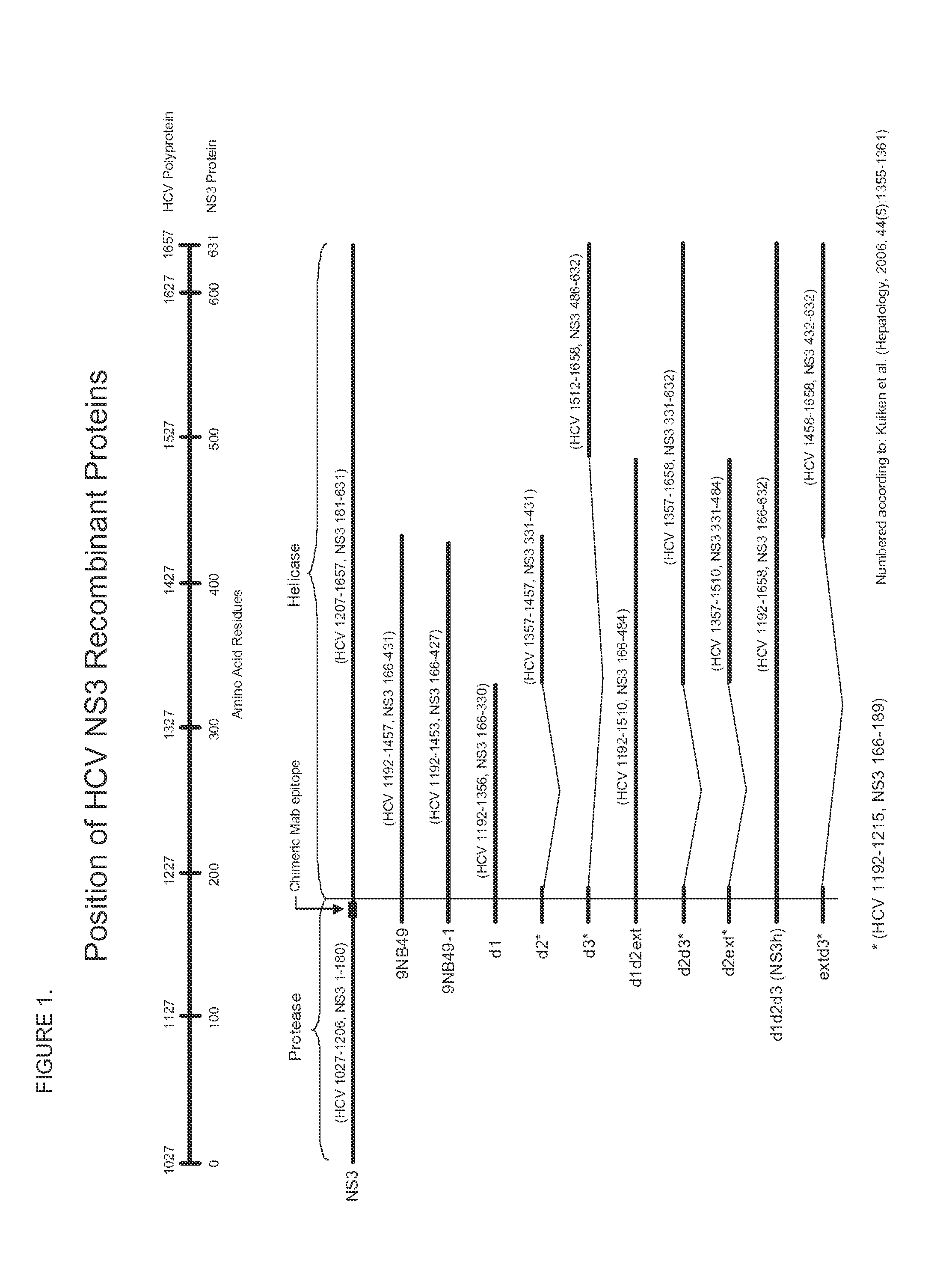 Hcv antigen-antibody combination assay and methods and compositions for use therein