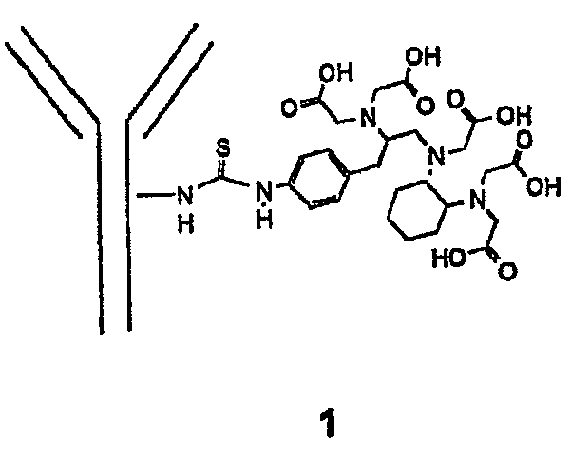 Trifunctional imaging agent for monoclonal antibody tumor-targeted imaging