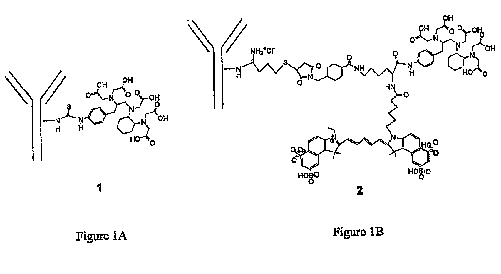 Trifunctional imaging agent for monoclonal antibody tumor-targeted imaging