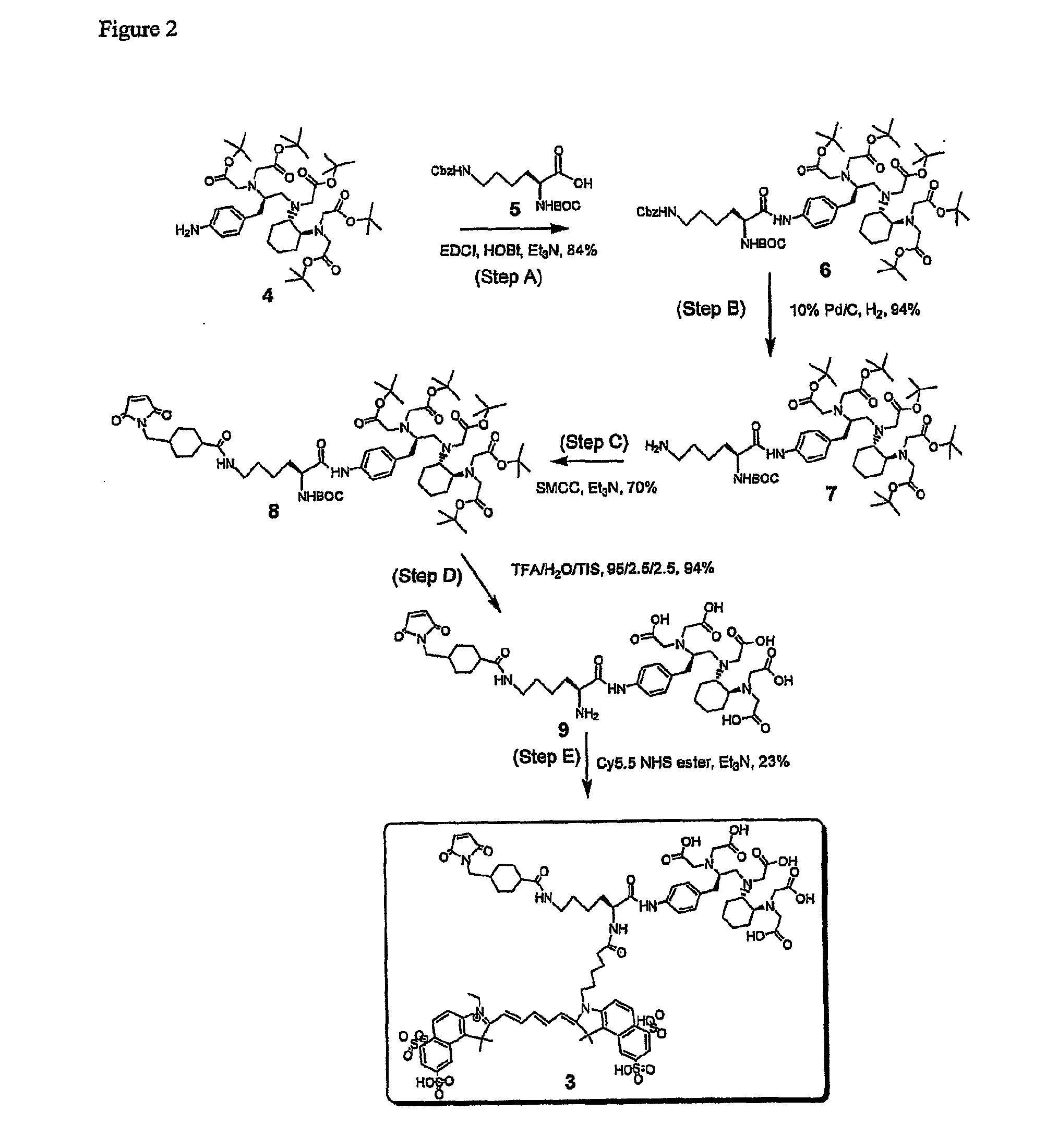 Trifunctional imaging agent for monoclonal antibody tumor-targeted imaging