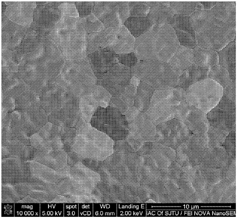 Solid oxide fuel cell anode/electrolyte bilayer membrane and preparation method thereof