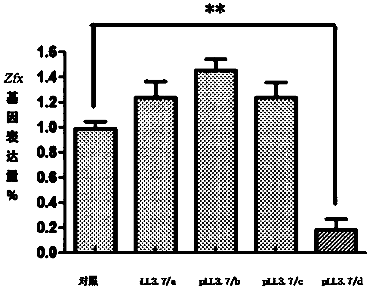 RNAi interference fragment, interference carrier, preparation method and application thereof