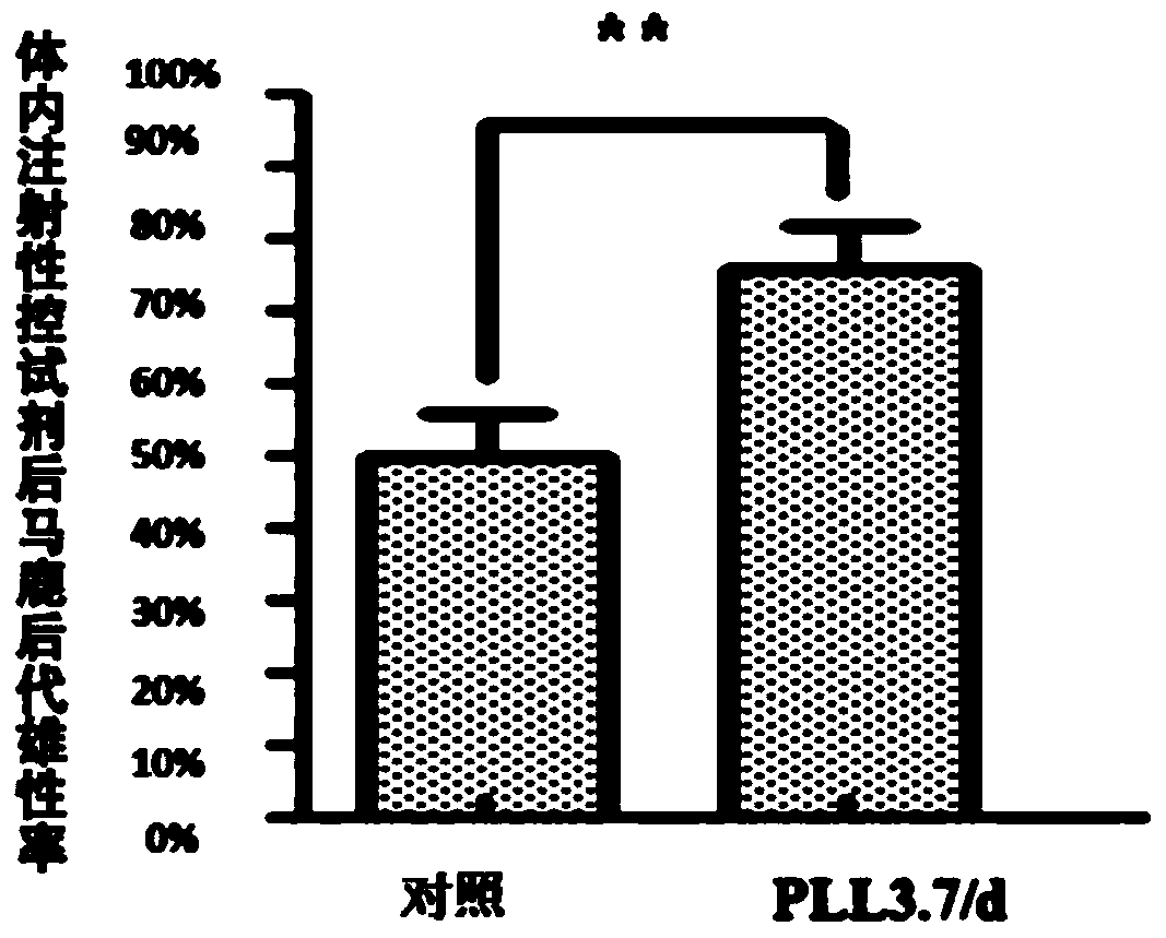 RNAi interference fragment, interference carrier, preparation method and application thereof