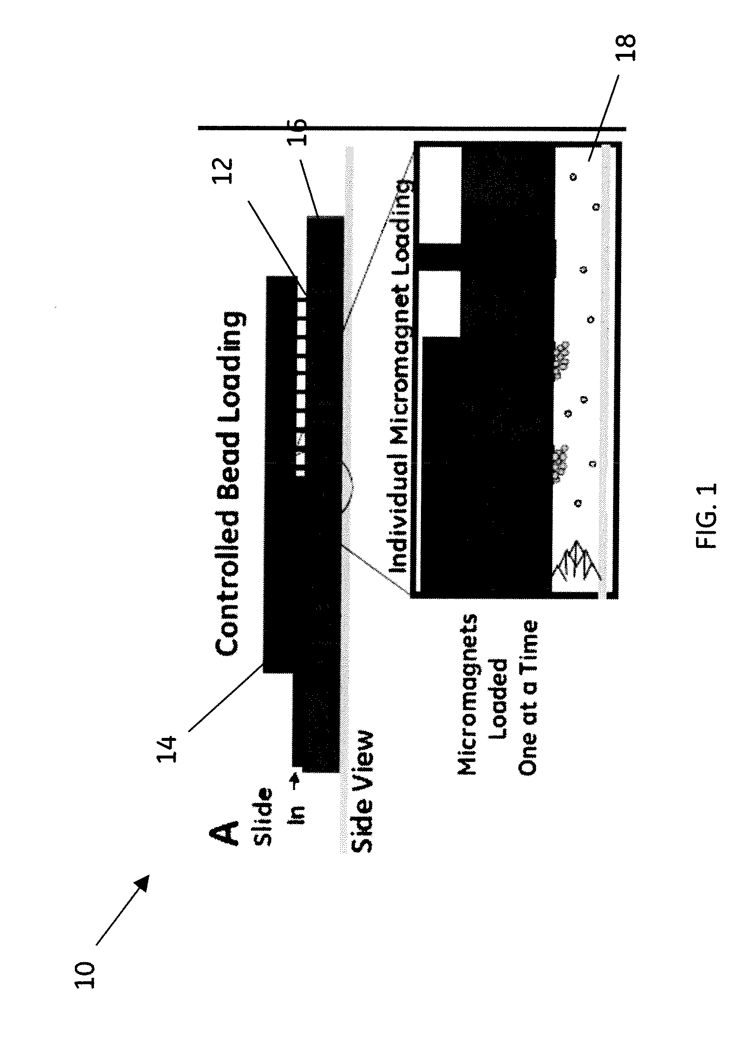 Devices and methods for batch processing magnetic bead assays