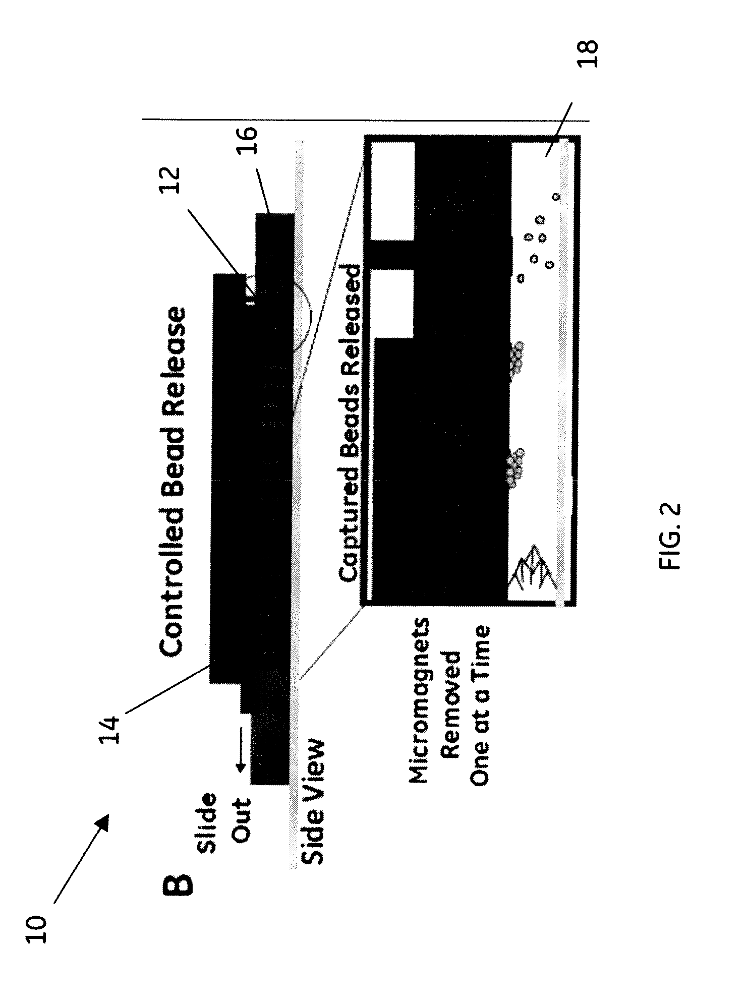 Devices and methods for batch processing magnetic bead assays