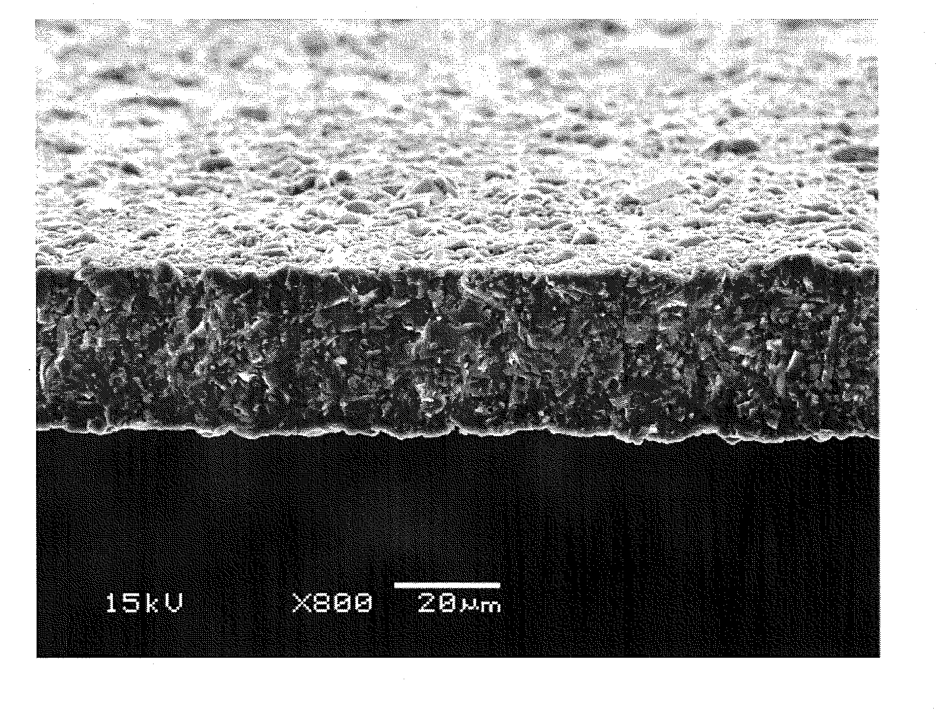 Lithium ion conductive substance, lithium ion conductive solid electrolyte using the lithium ion conductive substance, protective layer for an electrode of a lithium ion battery, and method for manufacturing the lithium ion conductive substance