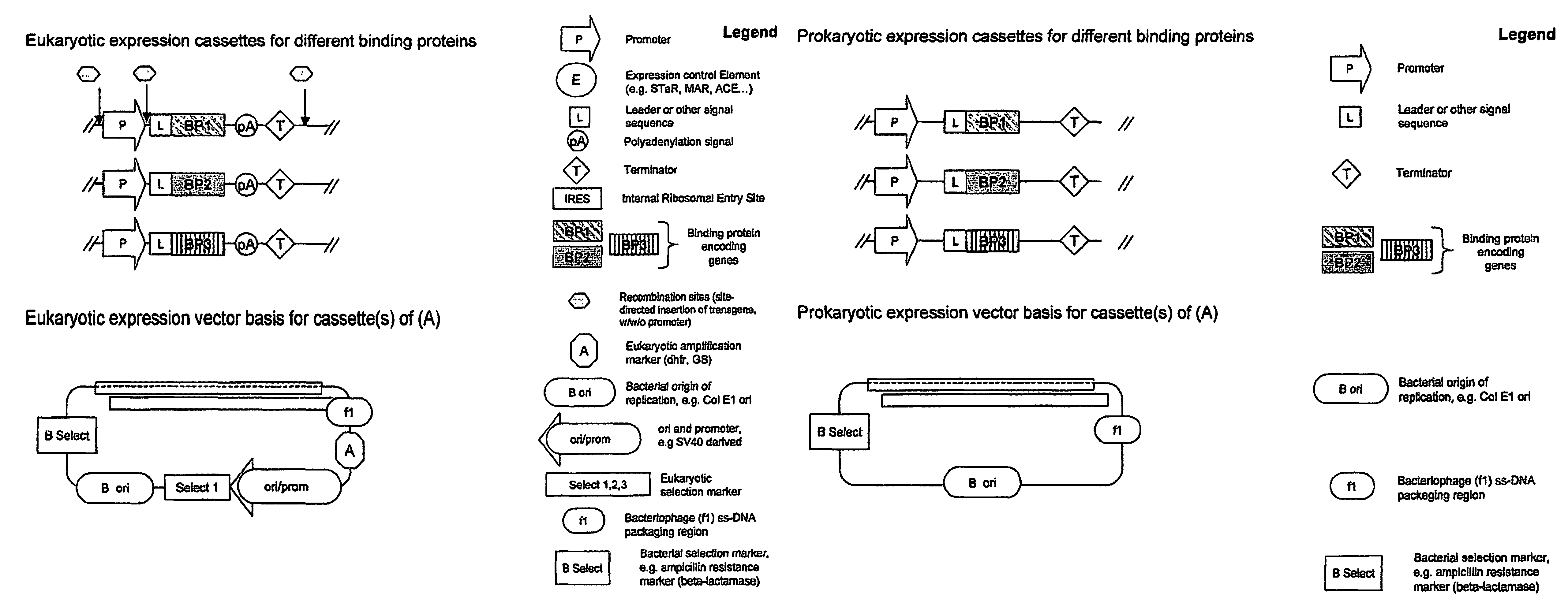 Mixture of binding proteins