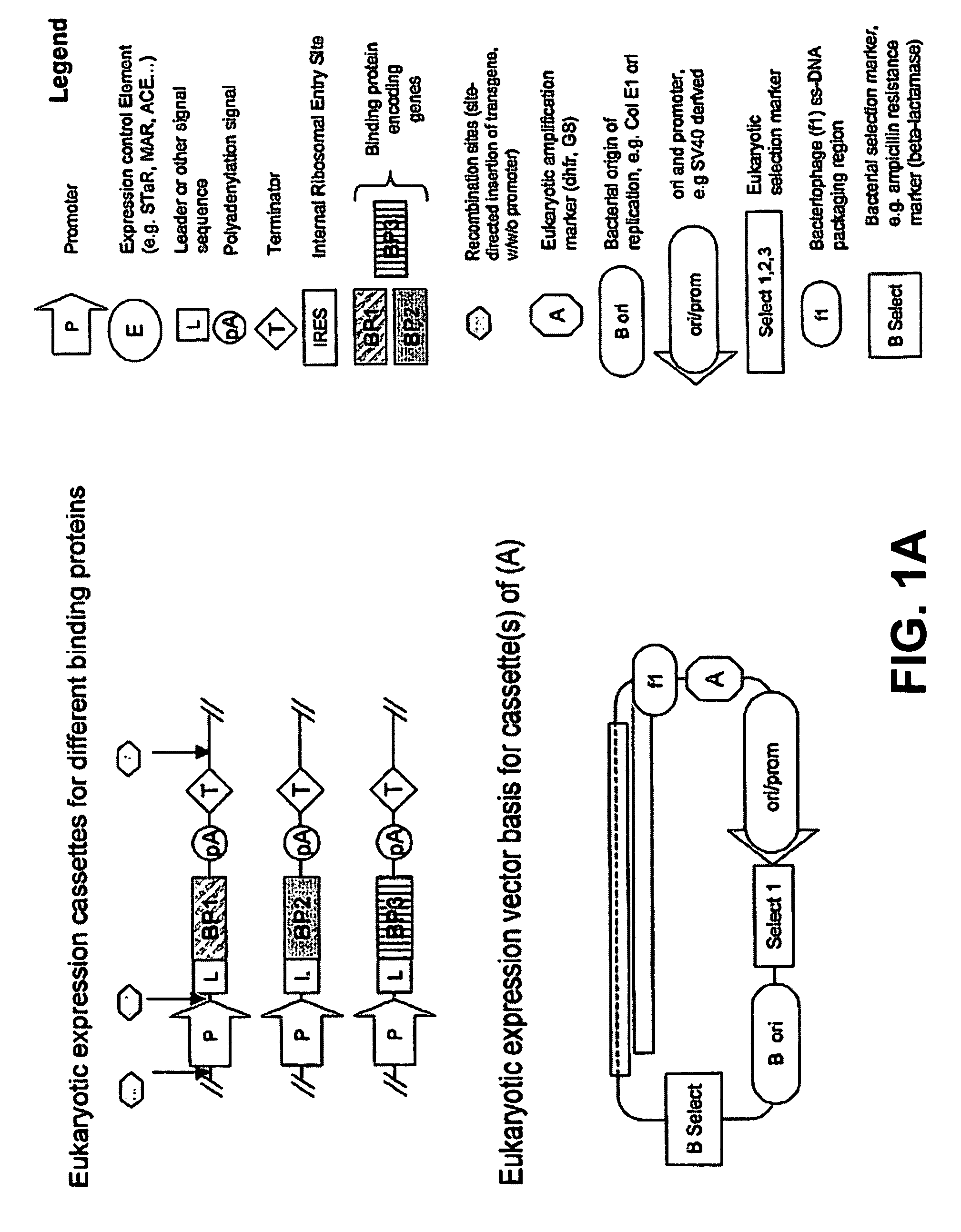 Mixture of binding proteins