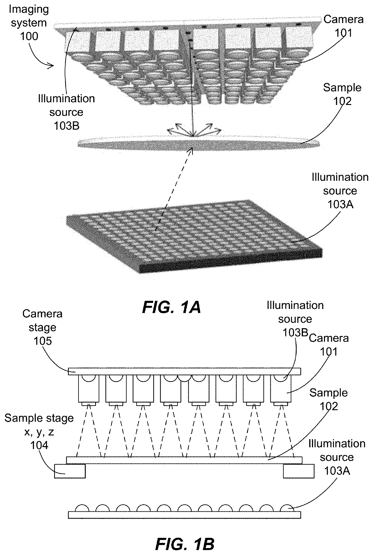 System and method for rapid focusing and analysis using a micro-camera array microscope