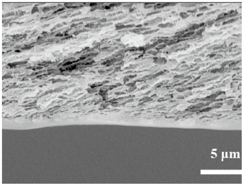 Transparent antifouling patch as well as preparation method and application thereof