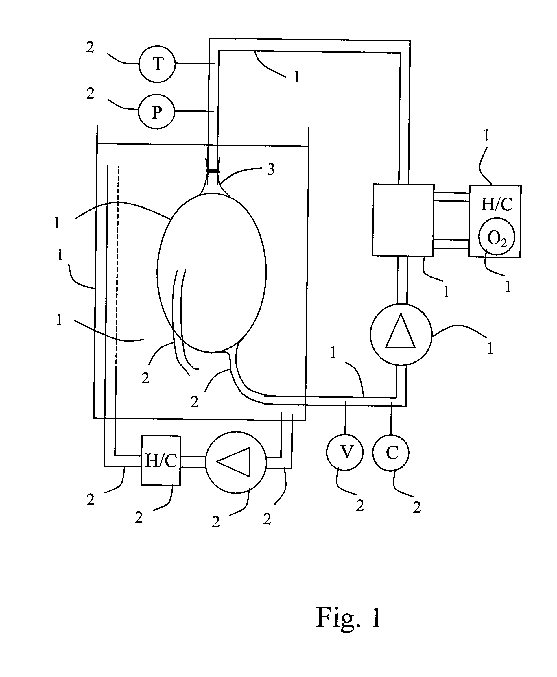 Method, device and fluid for treatment of a heart after harvesting