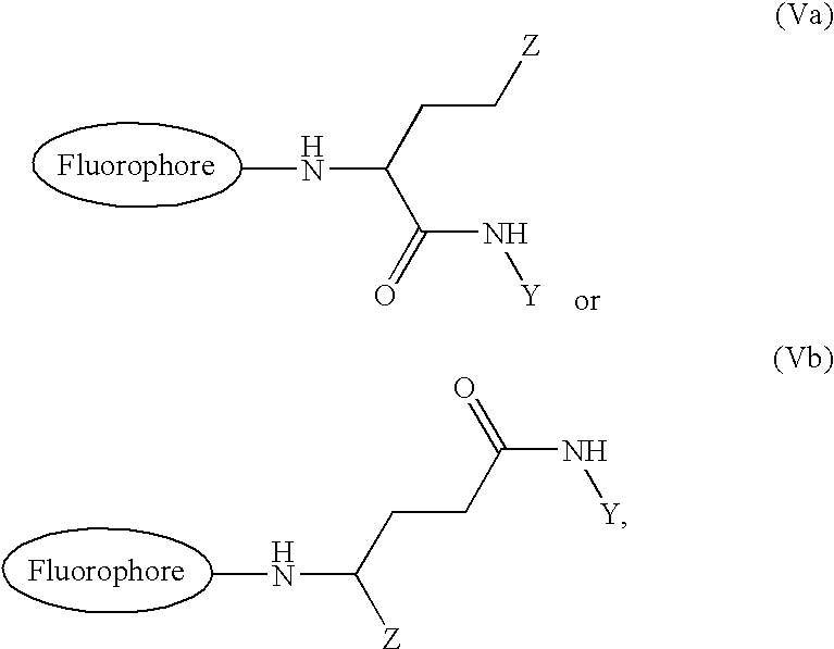 Method for increasing hydrophilicity of fluorescent label compounds