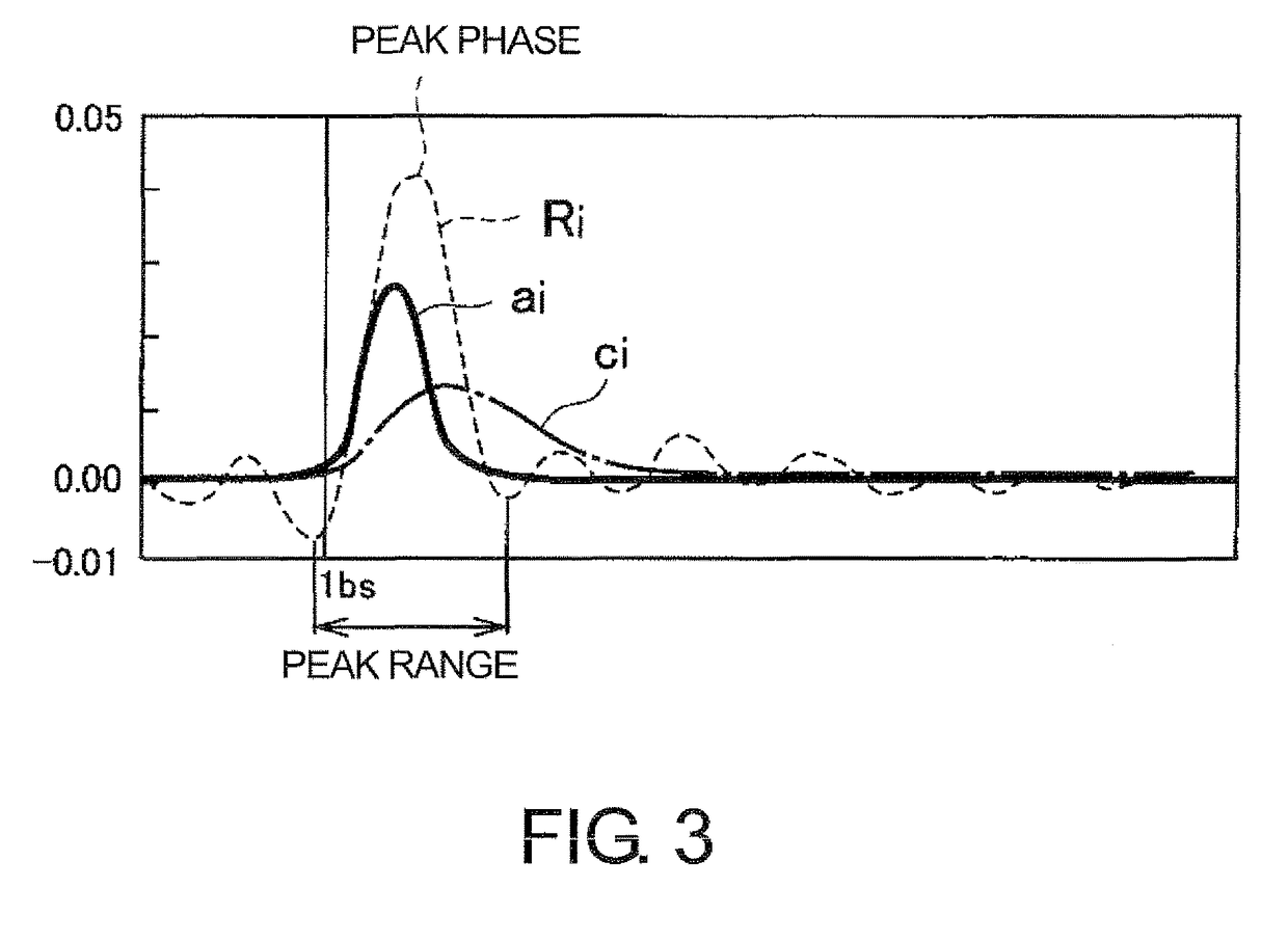 Blood flow perfusion analyzing apparatus, blood flow perfusion analyzing method, fluid analyzing apparatus and fluid analyzing