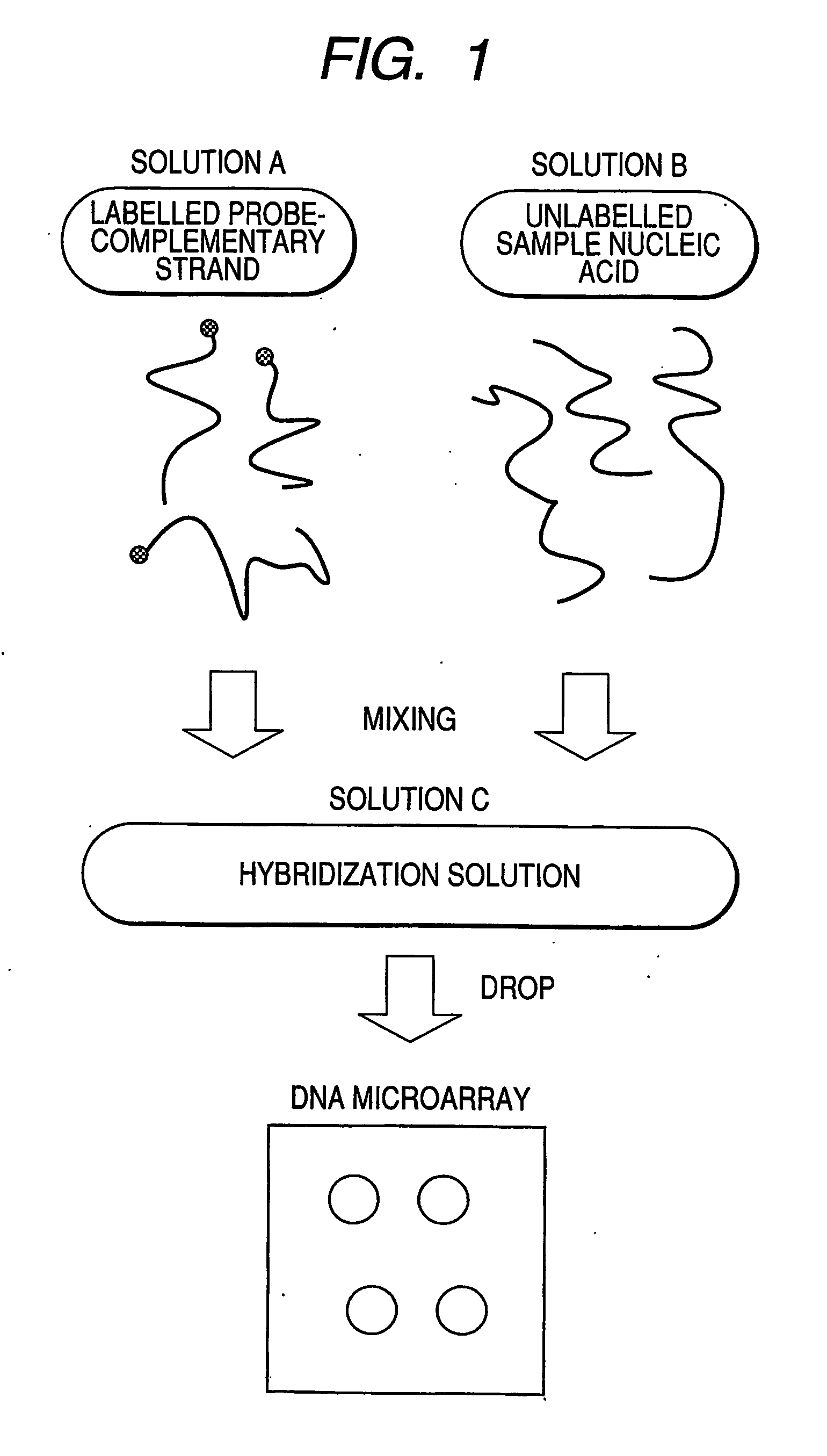 Process for assay of nucleic acids by competitive hybridization using a dna microarray