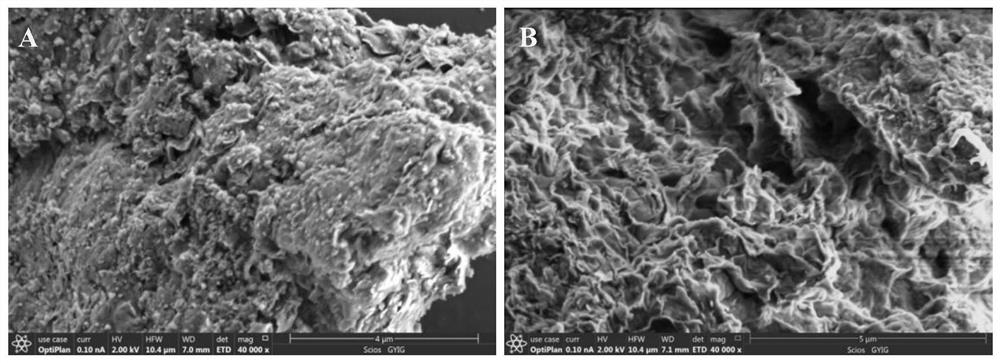 A kind of water body phosphorus adsorption material and its preparation and application method