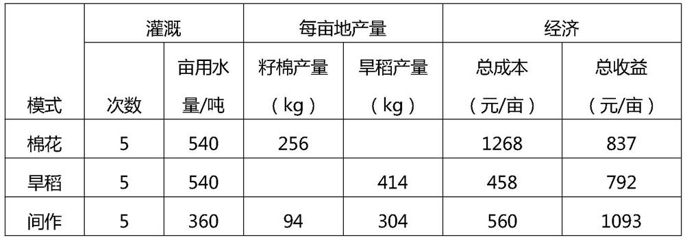 Machine-harvested cotton and upland rice intercropping zoned irrigation cultivation method