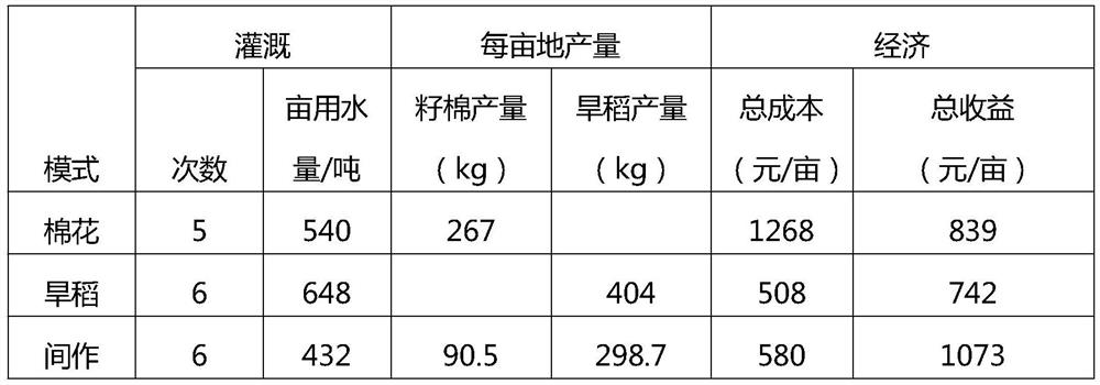 Machine-harvested cotton and upland rice intercropping zoned irrigation cultivation method