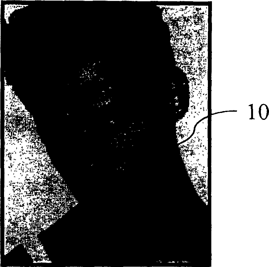 Method for quick establishing human face image planar model