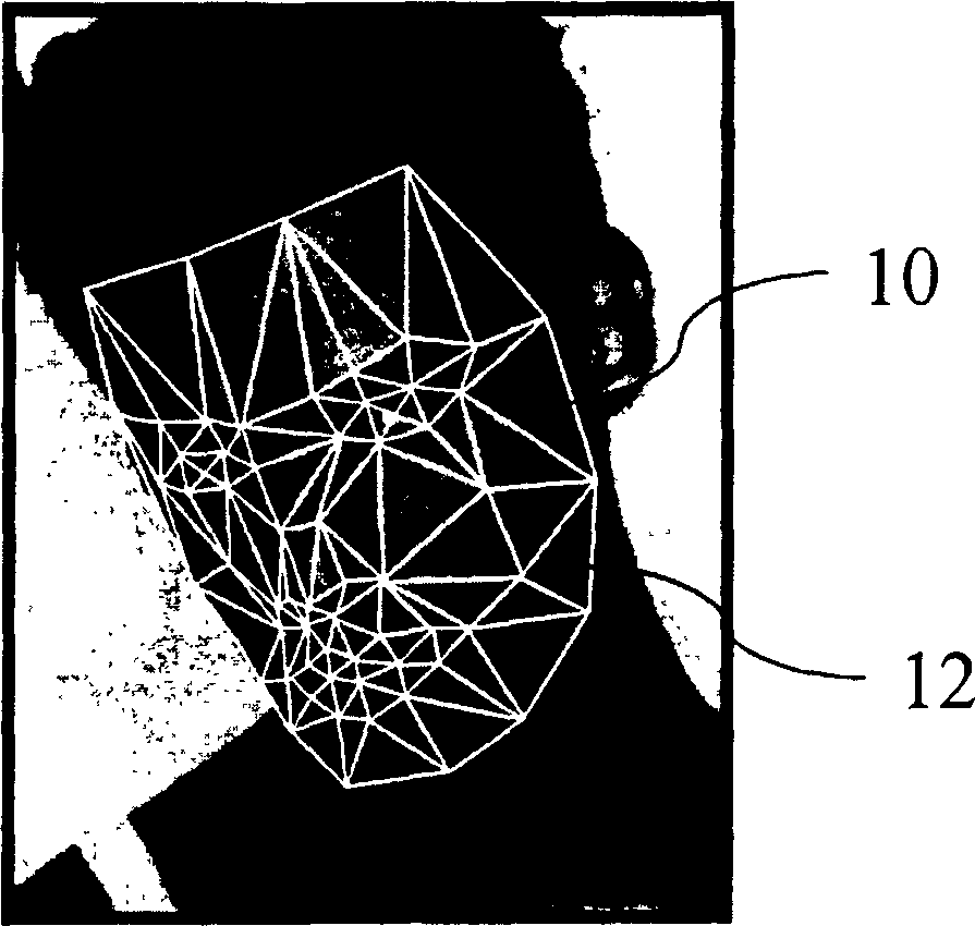 Method for quick establishing human face image planar model