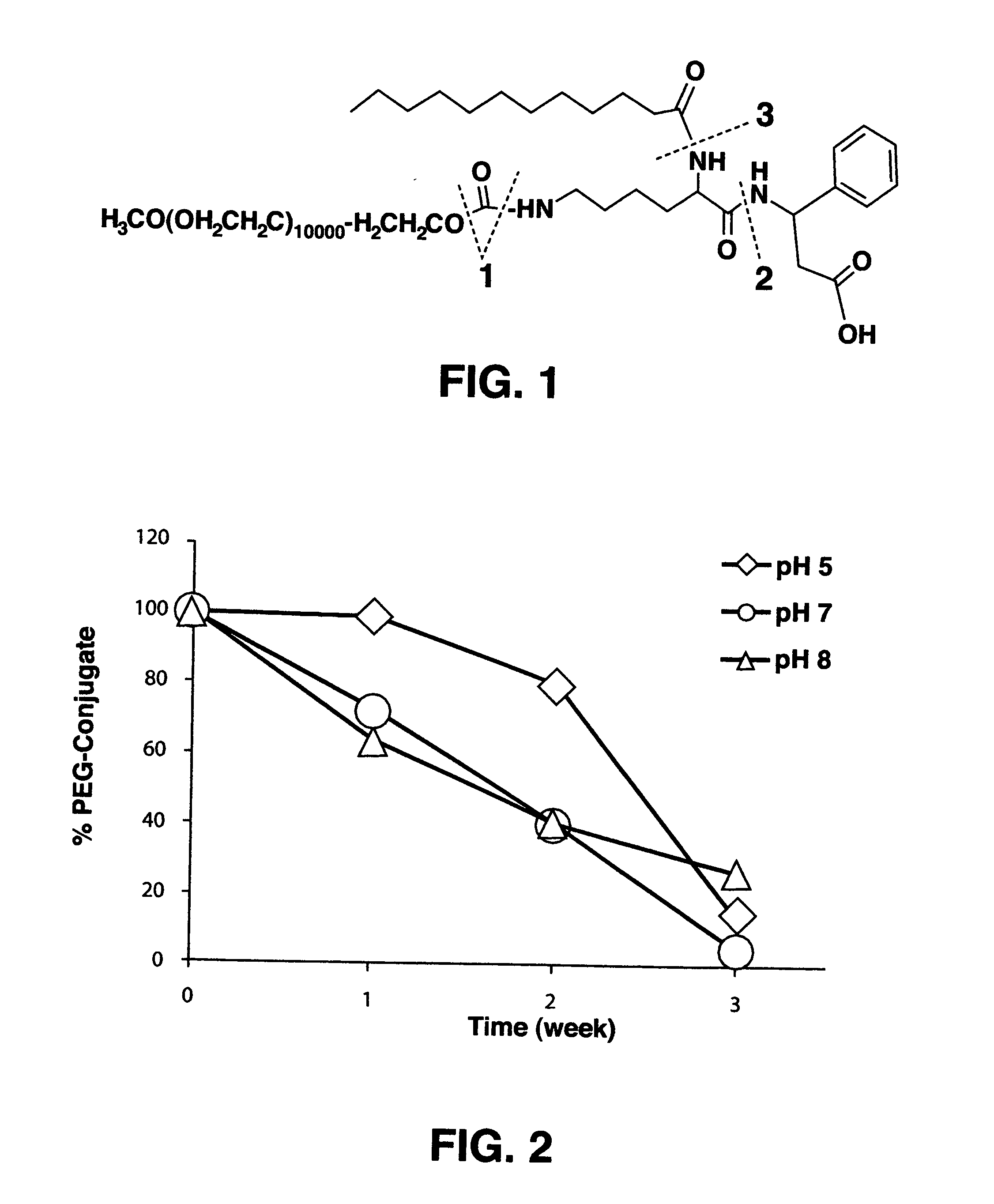 Protein-carrier conjugates